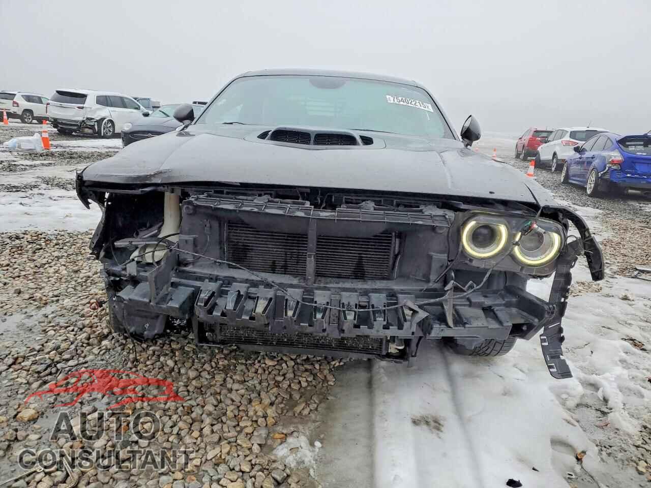 DODGE CHALLENGER 2016 - 2C3CDZFJ9GH284311
