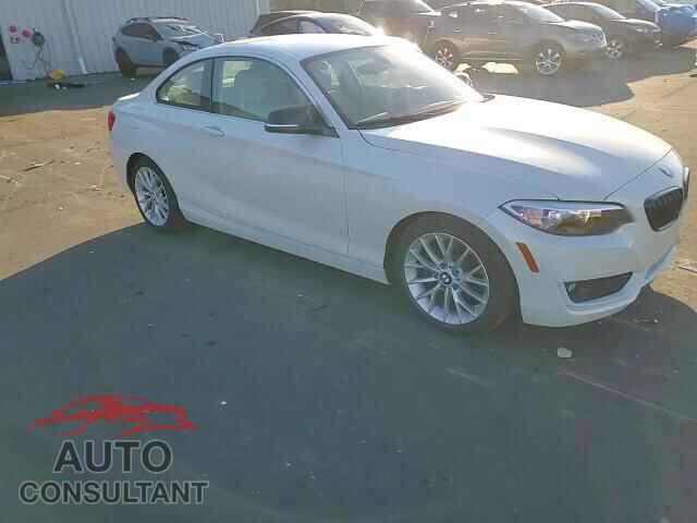 BMW 2 SERIES 2014 - WBA1F5C55EV246296