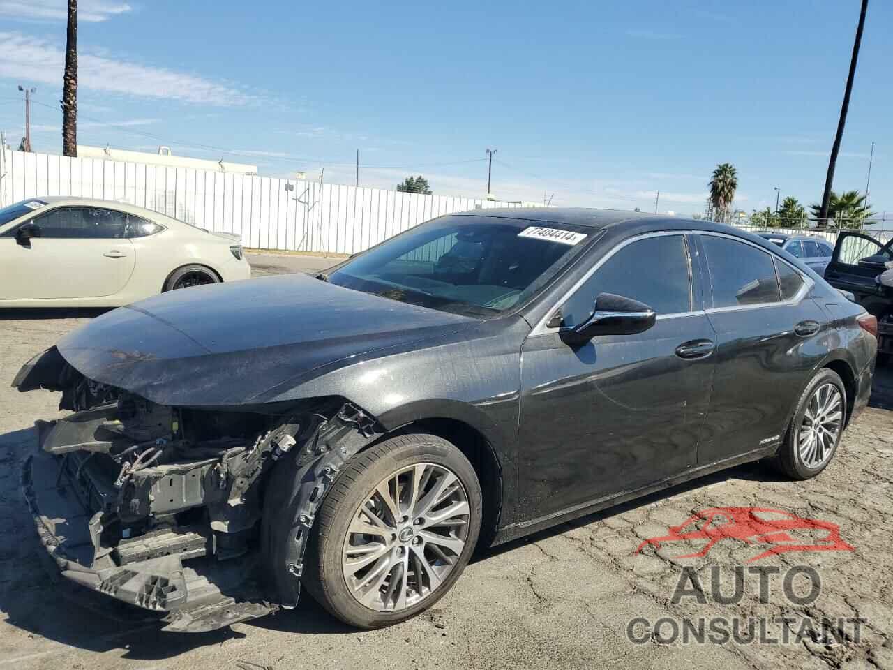 LEXUS ES300 2021 - 58ADA1C19MU001613