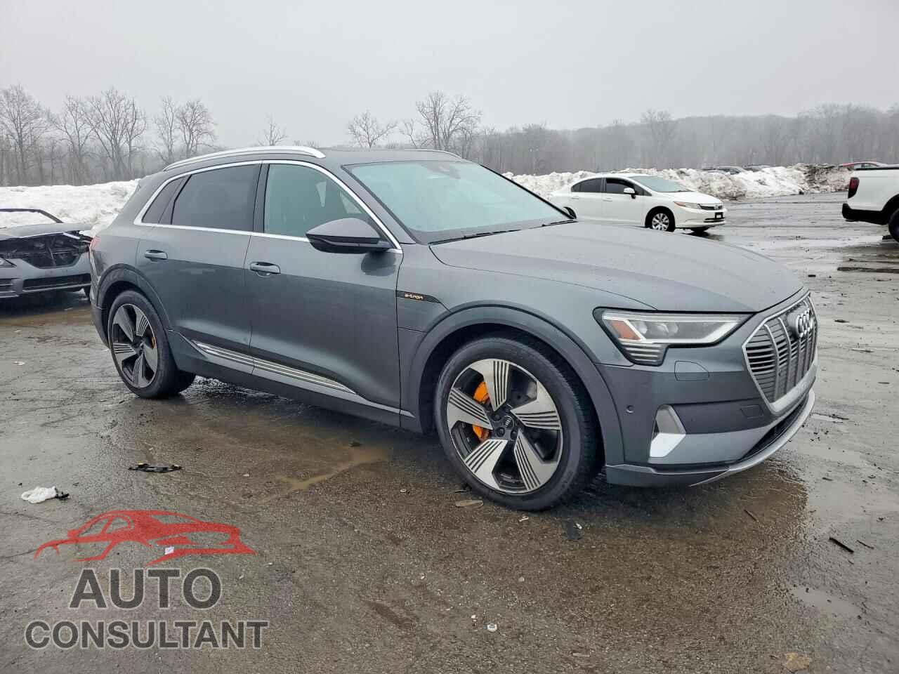 AUDI E-TRON 2019 - WA1VAAGE4KB006847