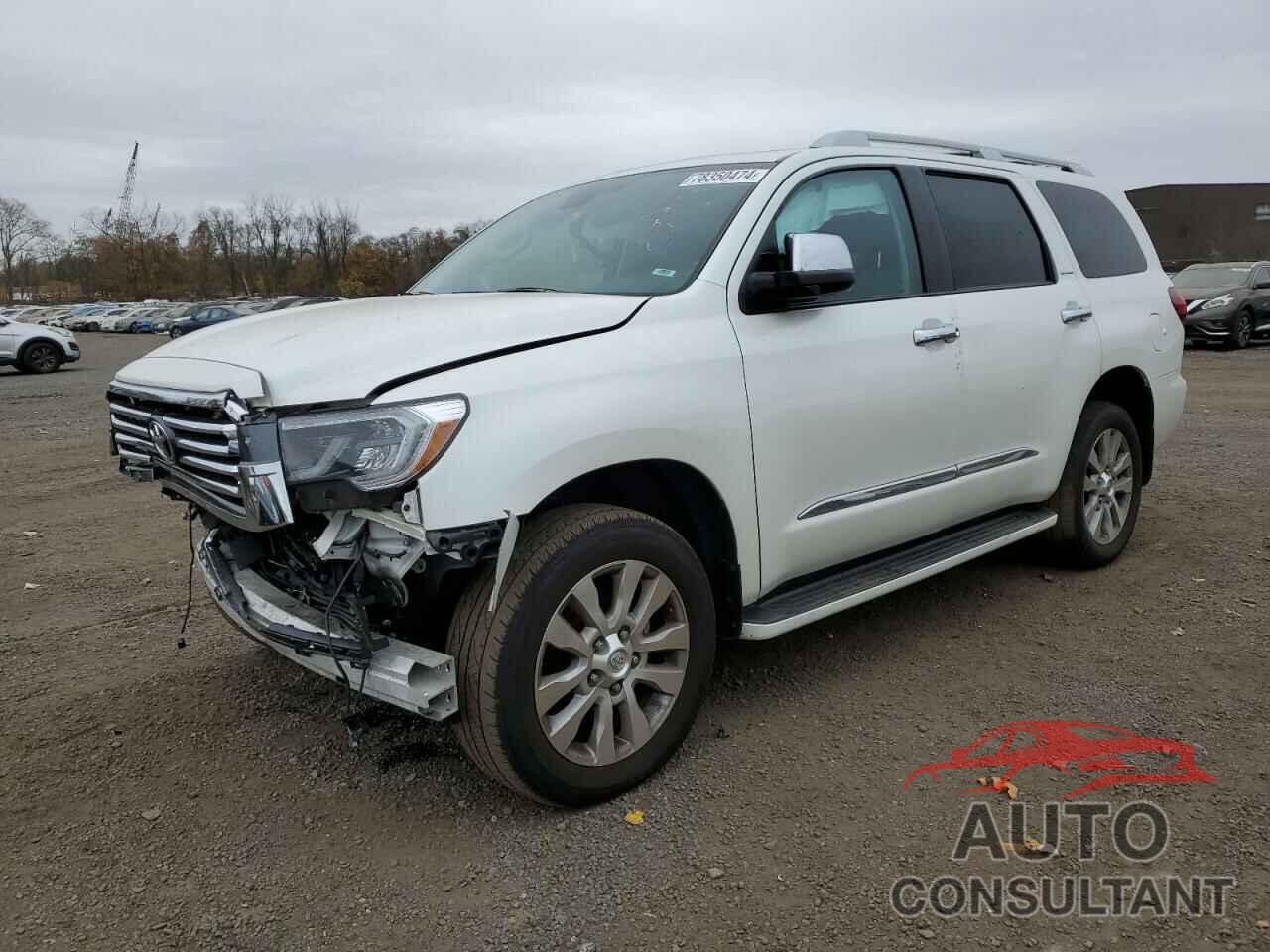 TOYOTA SEQUOIA 2019 - 5TDDY5G19KS165616
