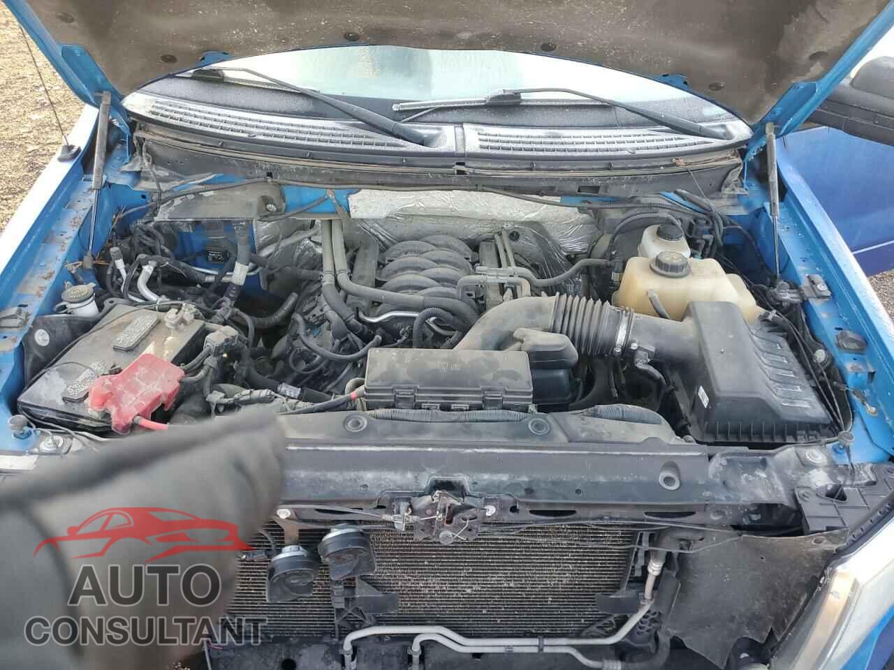 FORD F-150 2012 - 1FTFX1EFXCFB00715