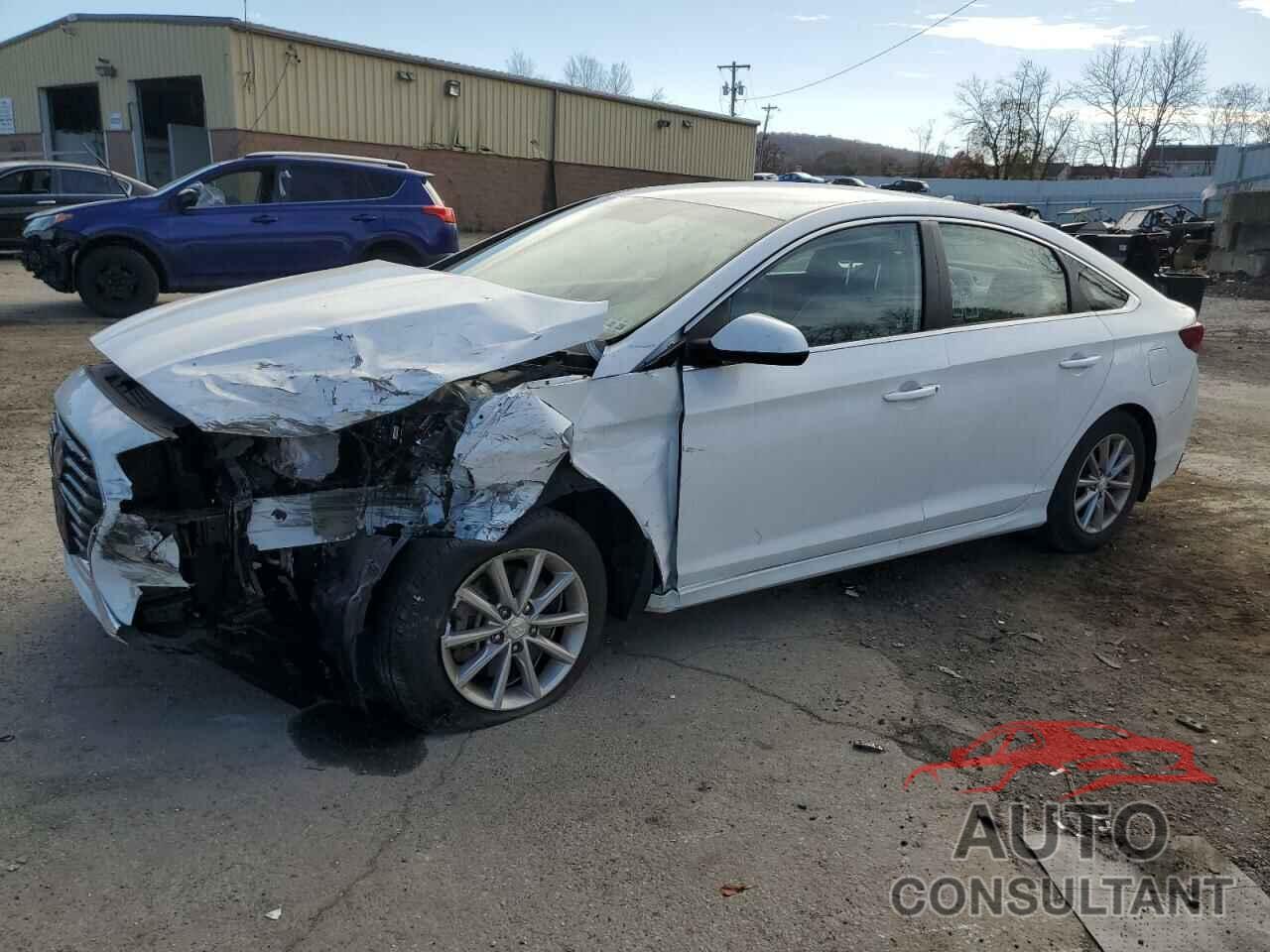 HYUNDAI SONATA 2019 - 5NPE24AFXKH797955