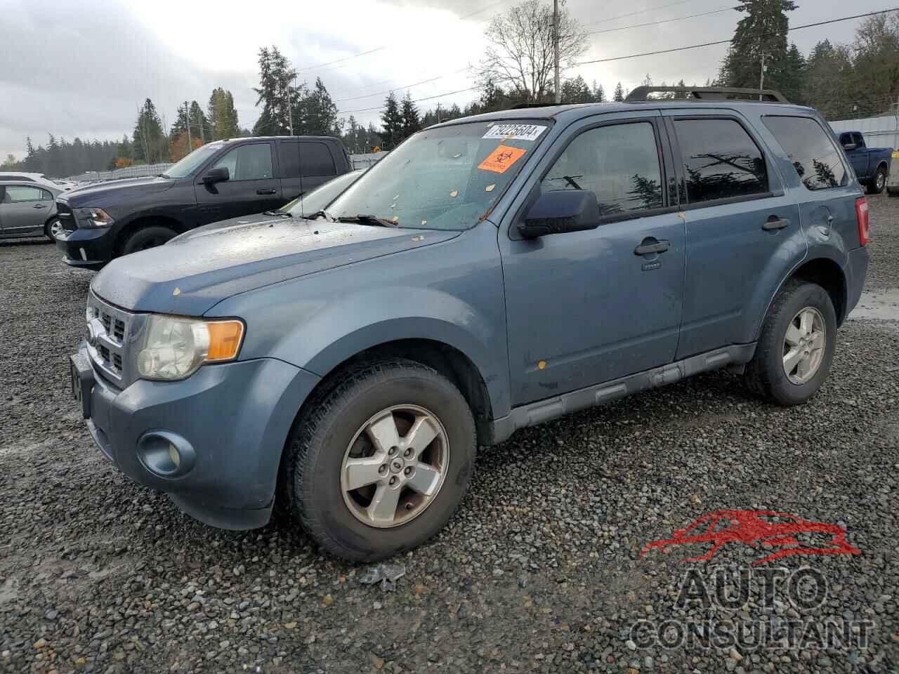 FORD ESCAPE 2010 - 1FMCU9DG5AKC15940