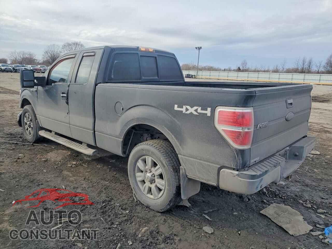 FORD F150 2011 - 1FTFX1EF9BKD55751