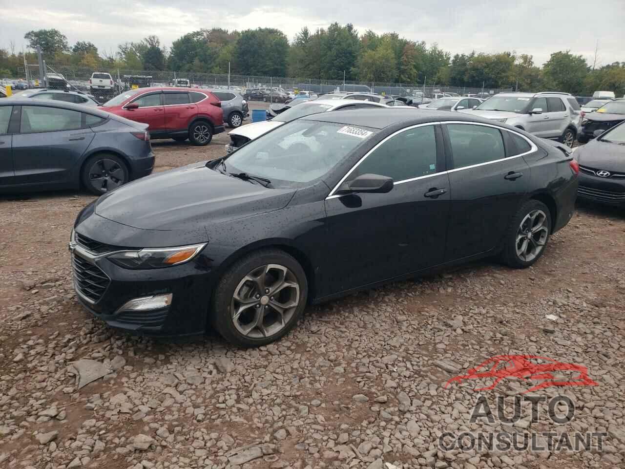CHEVROLET MALIBU 2019 - 1G1ZG5ST5KF201652