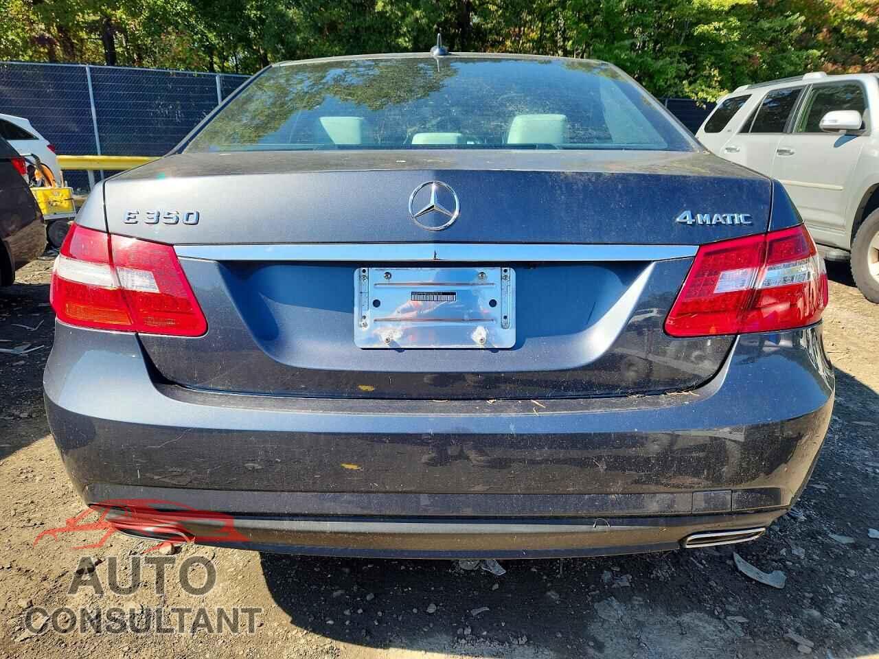 MERCEDES-BENZ E-CLASS 2010 - WDDHF8HB5AA059410