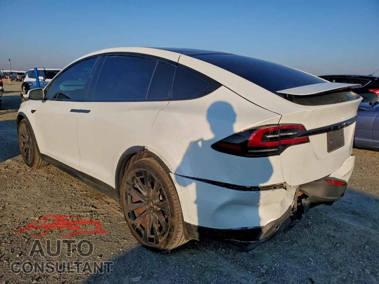 TESLA MODEL X 2024 - 7SAXCDE59RF436624