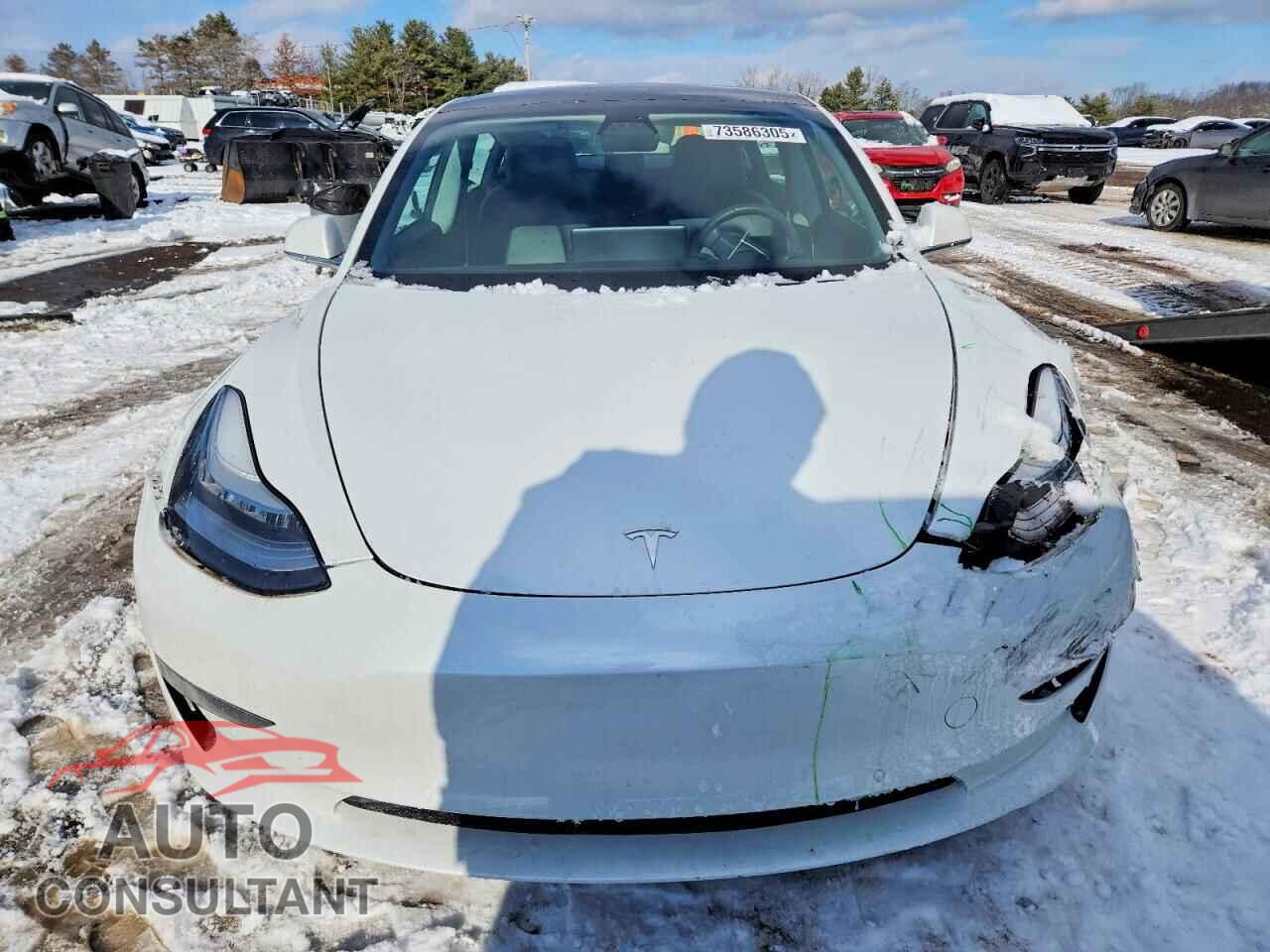TESLA MODEL 3 2020 - 5YJ3E1EA2LF597888