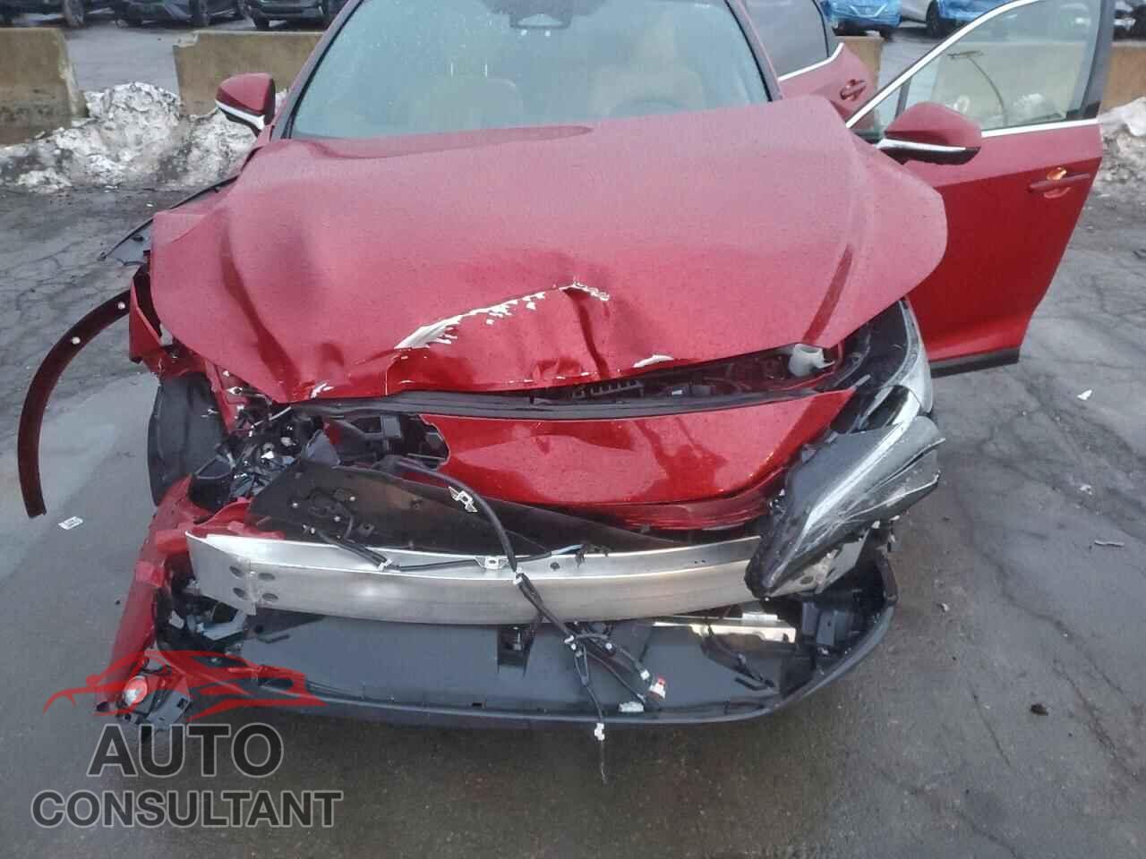 LEXUS RX350 2024 - 2T2BAMCA9RC051741
