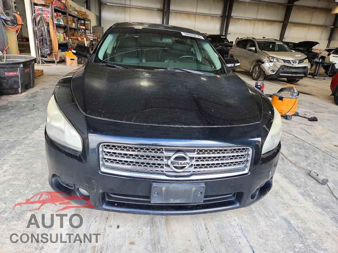NISSAN MAXIMA 2009 - 1N4AA51E59C823842