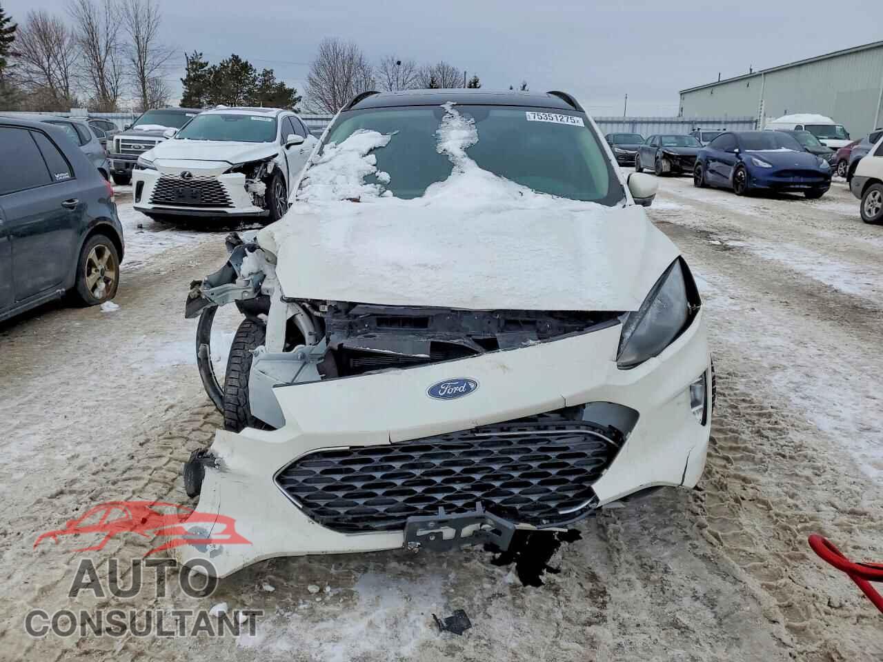 FORD ESCAPE 2020 - 1FMCU9H60LUA41283