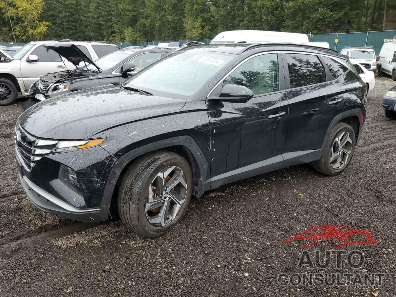 HYUNDAI TUCSON 2023 - 5NMJFCAEXPH162386