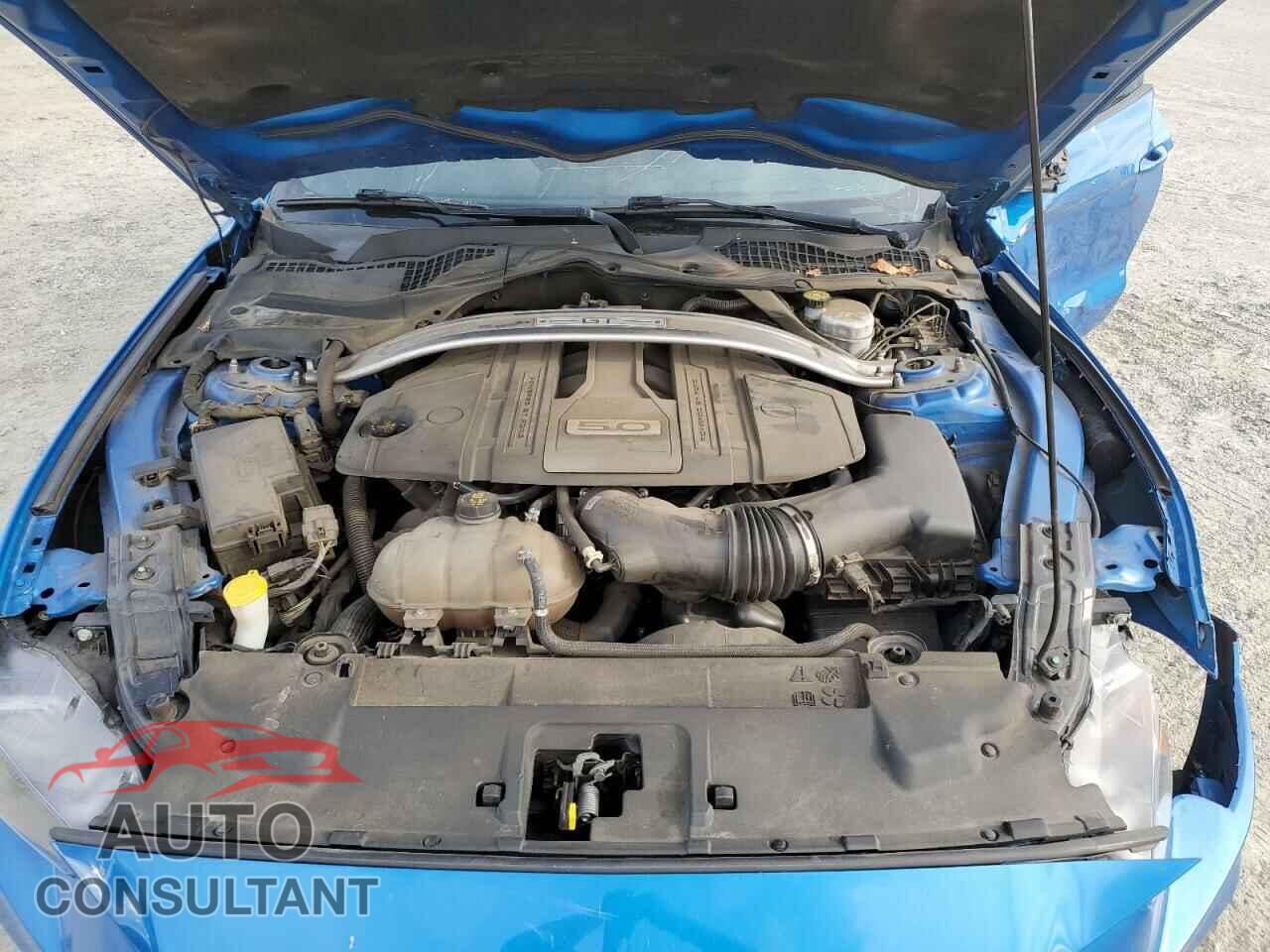FORD MUSTANG 2019 - 1FA6P8CF9K5115437