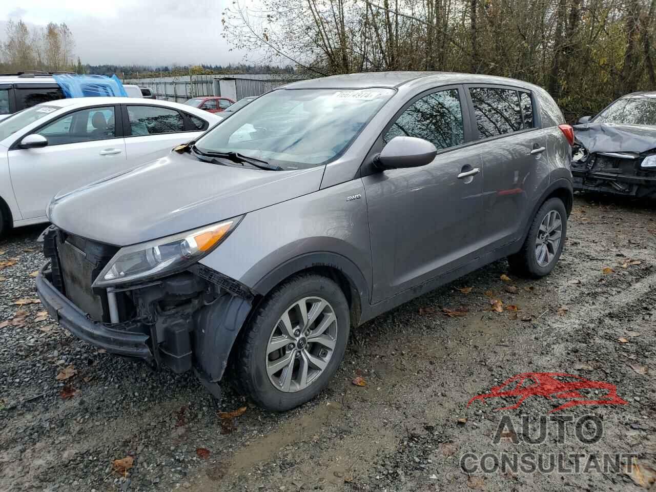 KIA SPORTAGE 2016 - KNDPBCAC3G7815202