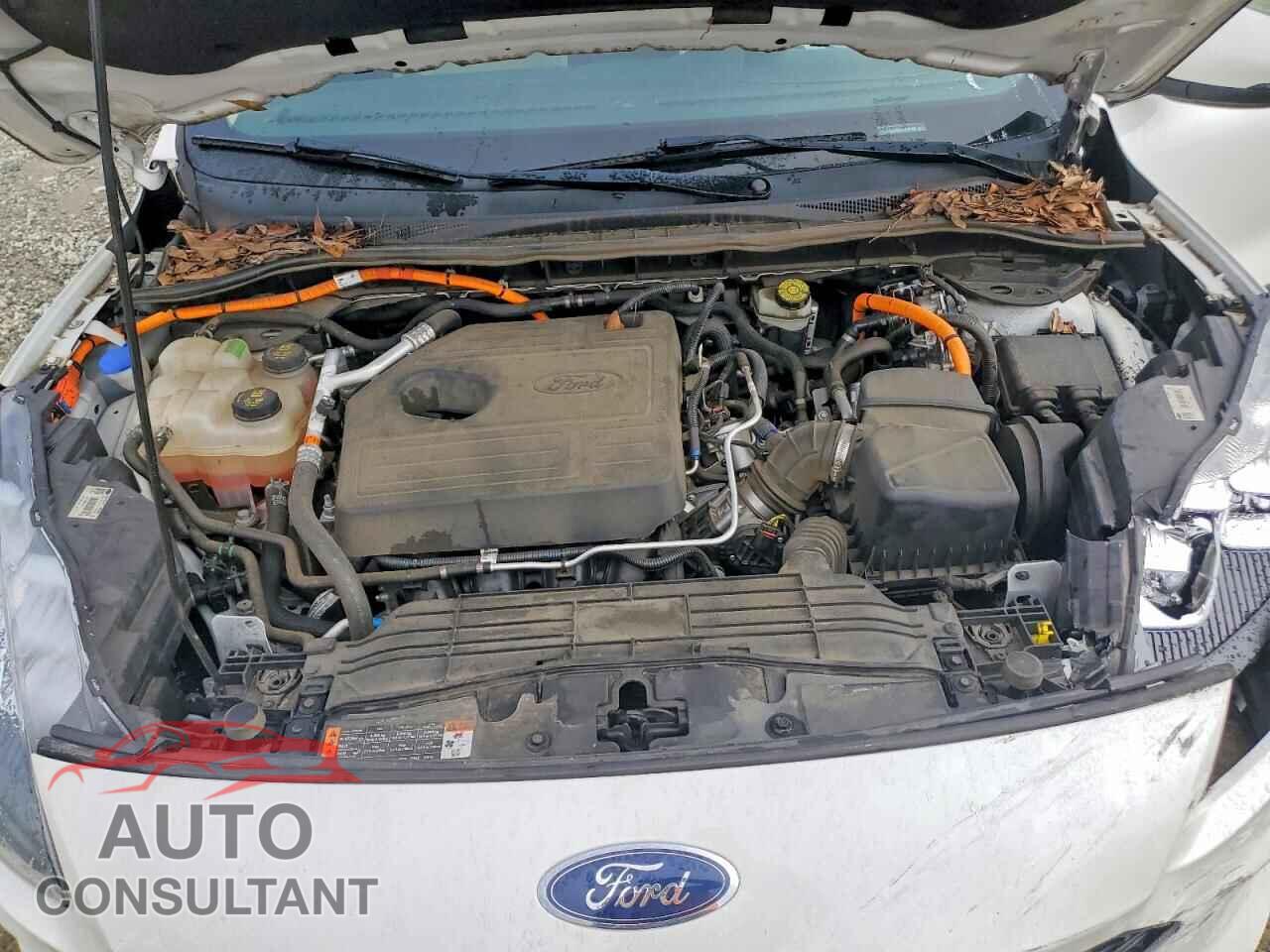 FORD ESCAPE 2020 - 1FMCU0DZ5LUA92158