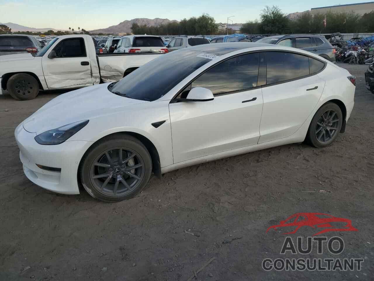 TESLA MODEL 3 2021 - 5YJ3E1EA8MF091001