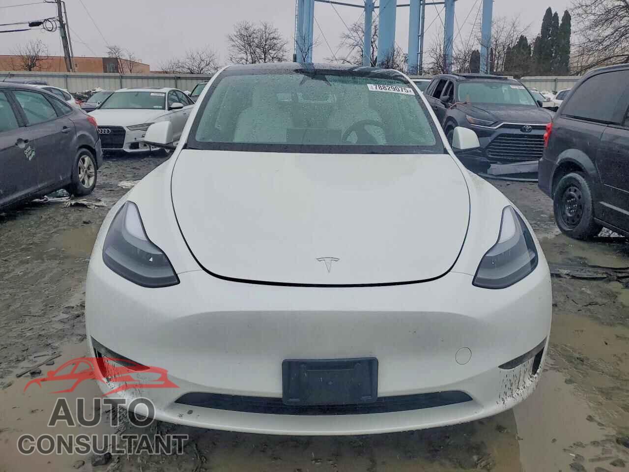 TESLA MODEL Y 2024 - 7SAYGAEE3RF064236