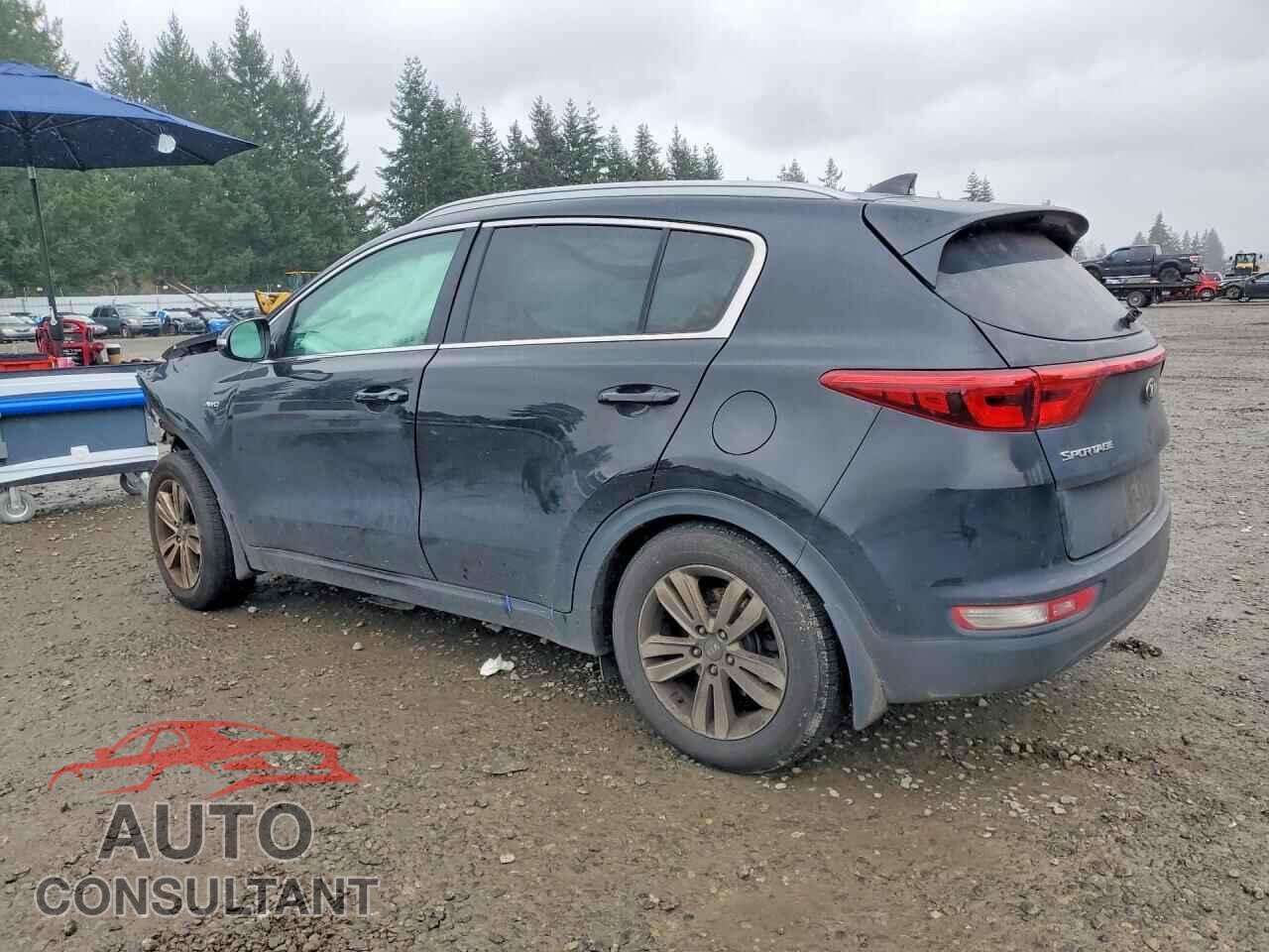 KIA SPORTAGE 2018 - KNDPMCAC8J7354886