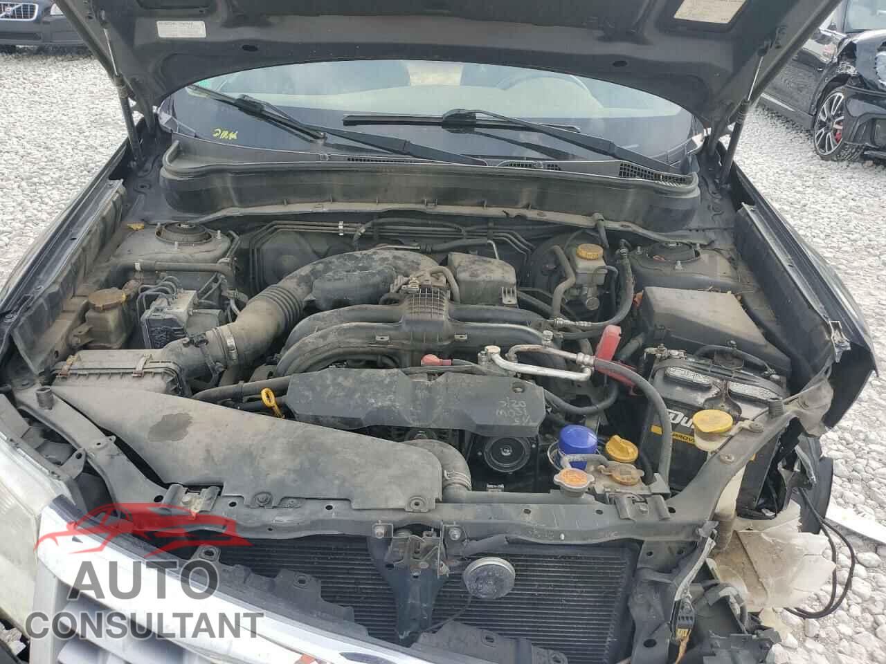 SUBARU FORESTER 2011 - JF2SHBBC4BH726194