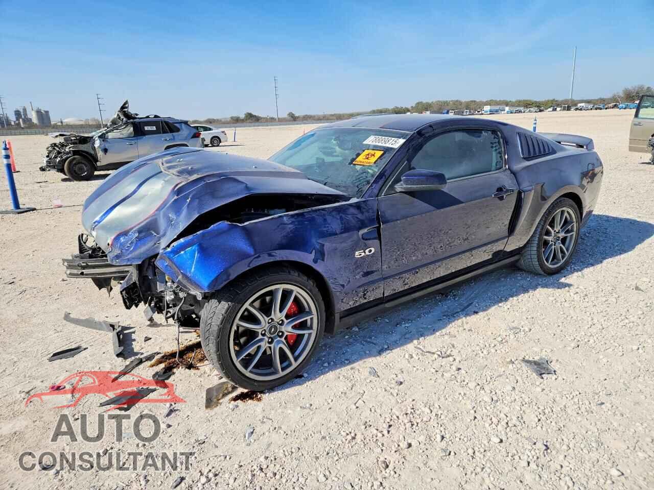 FORD MUSTANG 2011 - 1ZVBP8CF0B5138014