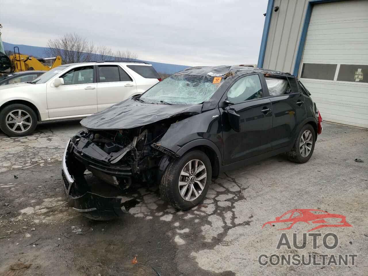 KIA SPORTAGE 2016 - KNDPBCAC5G7834088