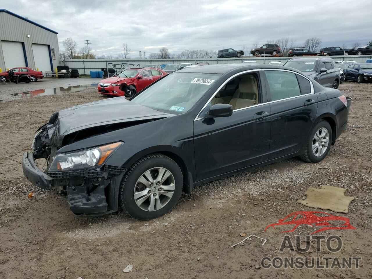 HONDA ACCORD 2010 - 1HGCP2F42AA041497