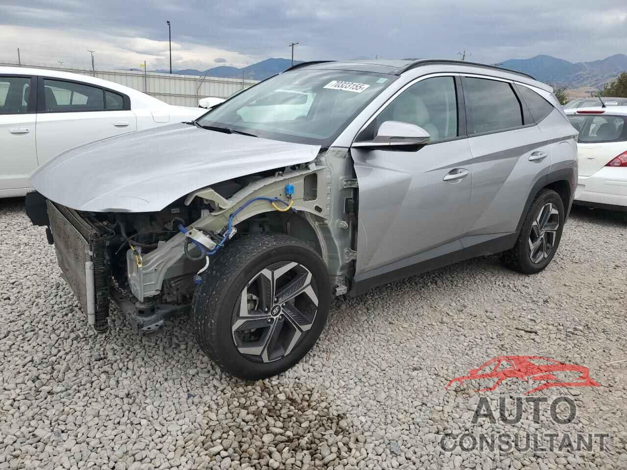 HYUNDAI TUCSON 2024 - KM8JECDE4RU290483