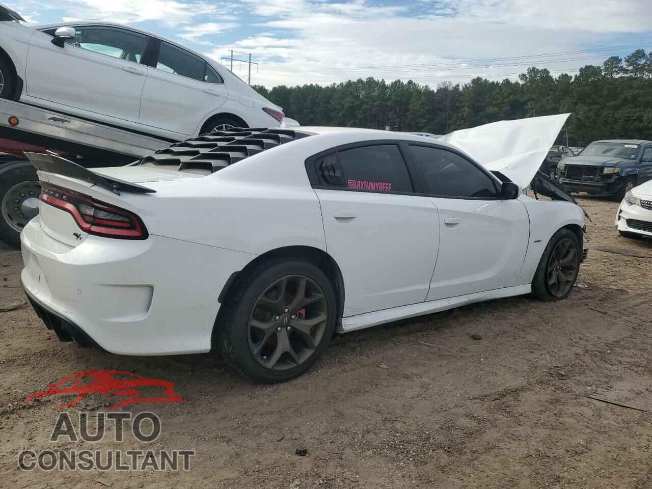 DODGE CHARGER 2019 - 2C3CDXCTXKH675745