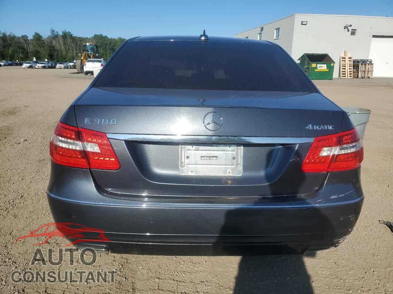 MERCEDES-BENZ E-CLASS 2012 - WDDHF82B4CA616299