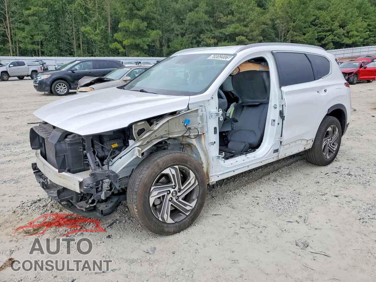 HYUNDAI SANTA FE 2023 - 5NMS2DAJ9PH488795
