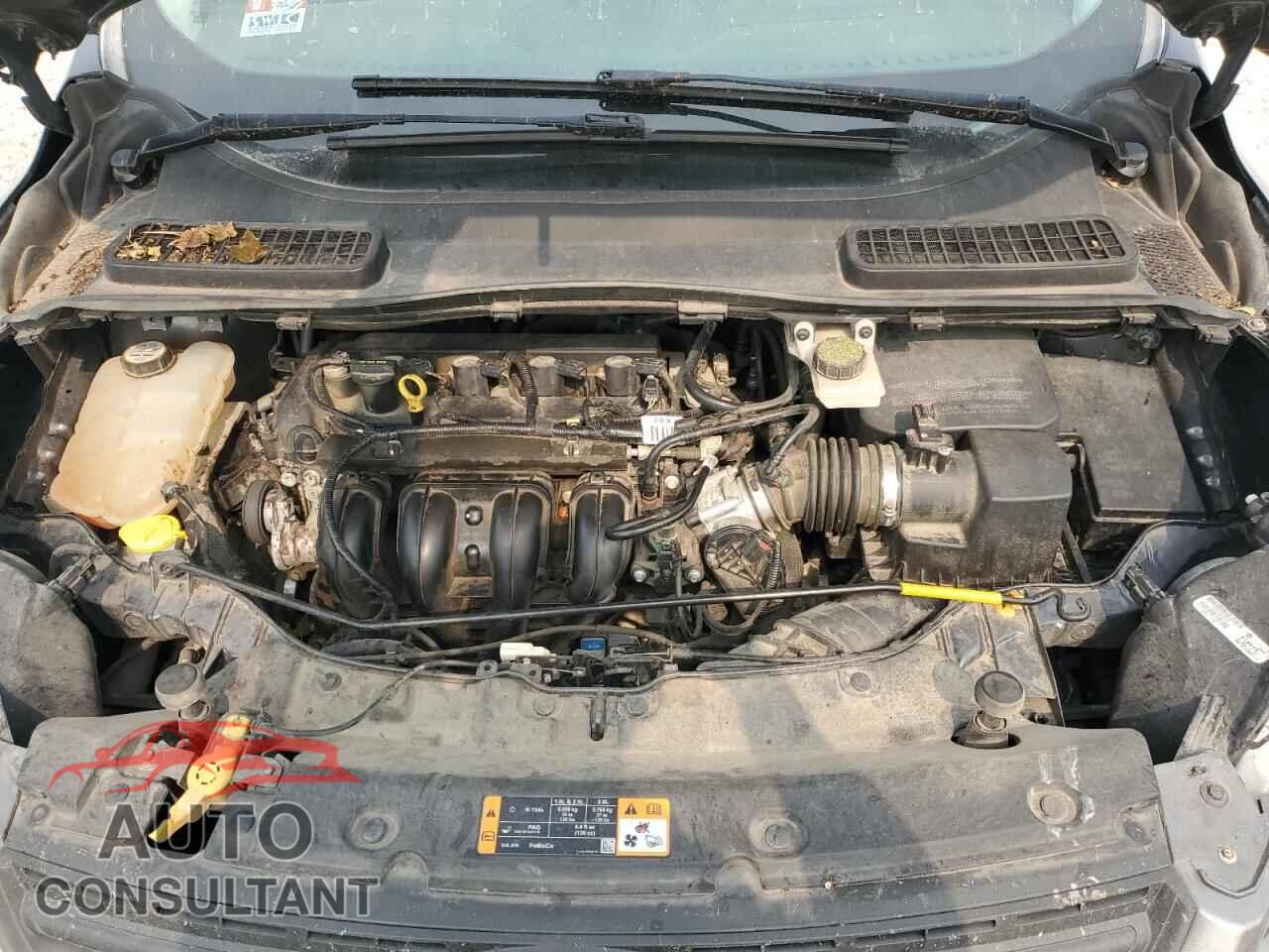 FORD ESCAPE 2013 - 1FMCU0F79DUC42642