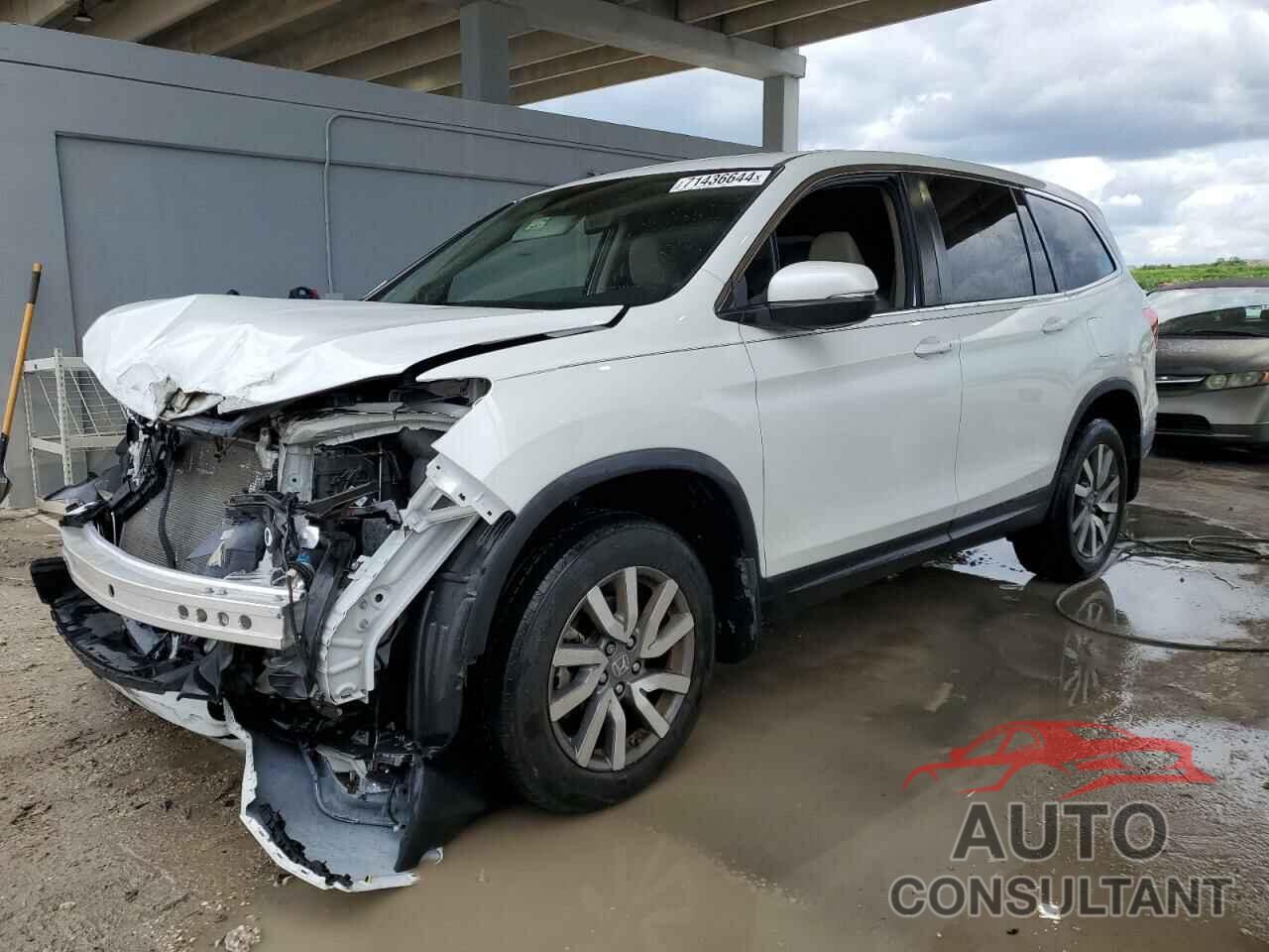 HONDA PILOT 2021 - 5FNYF6H55MB090502