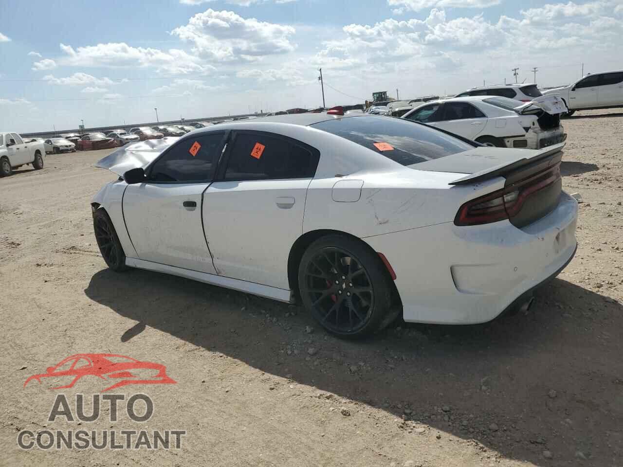 DODGE CHARGER 2019 - 2C3CDXGJ8KH738978