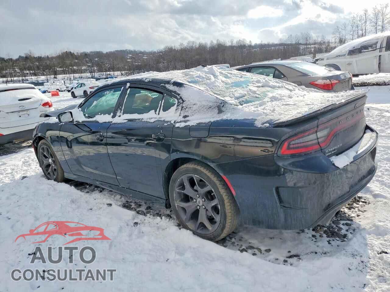 DODGE CHARGER 2019 - 2C3CDXCT3KH532393