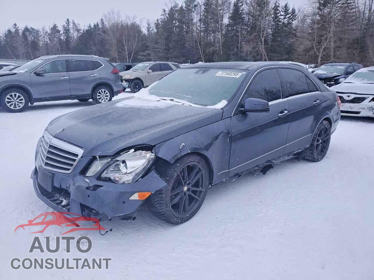 MERCEDES-BENZ E-CLASS 2010 - WDDHF8HB6AA086308
