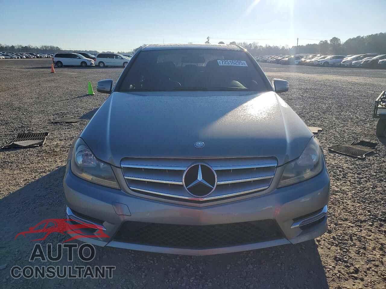 MERCEDES-BENZ C-CLASS 2013 - WDDGF8AB7DA818231