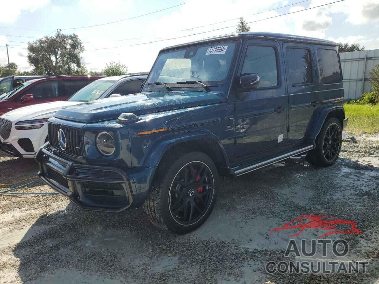 MERCEDES-BENZ G-CLASS 2024 - W1NYC7HJ3RX517192