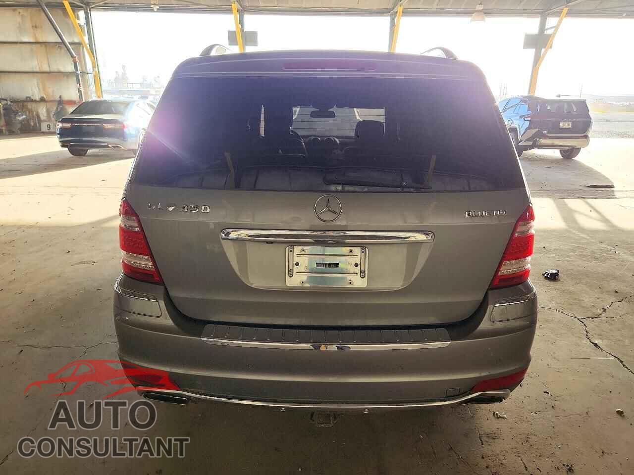 MERCEDES-BENZ GL-CLASS 2010 - 4JGBF2FEXAA573114