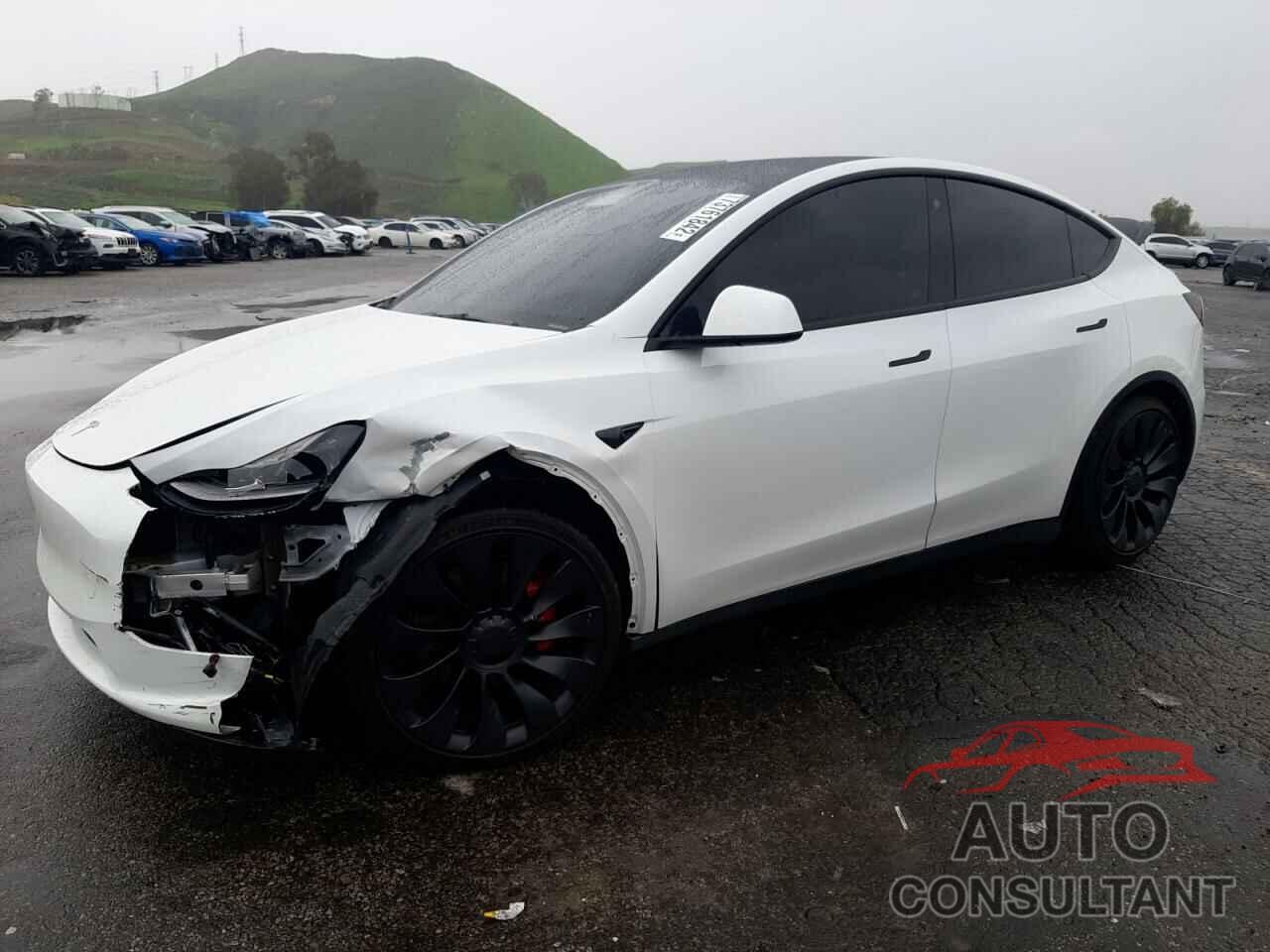TESLA MODEL Y 2022 - 7SAYGDEF6NF492161