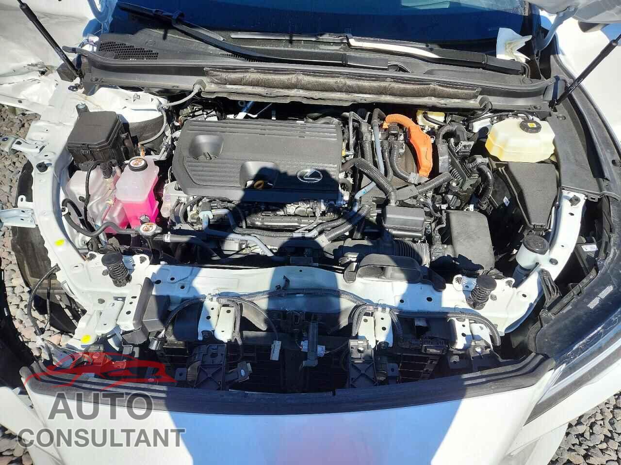 LEXUS RX350H 2026 - 2T2BBMCA5TC116850