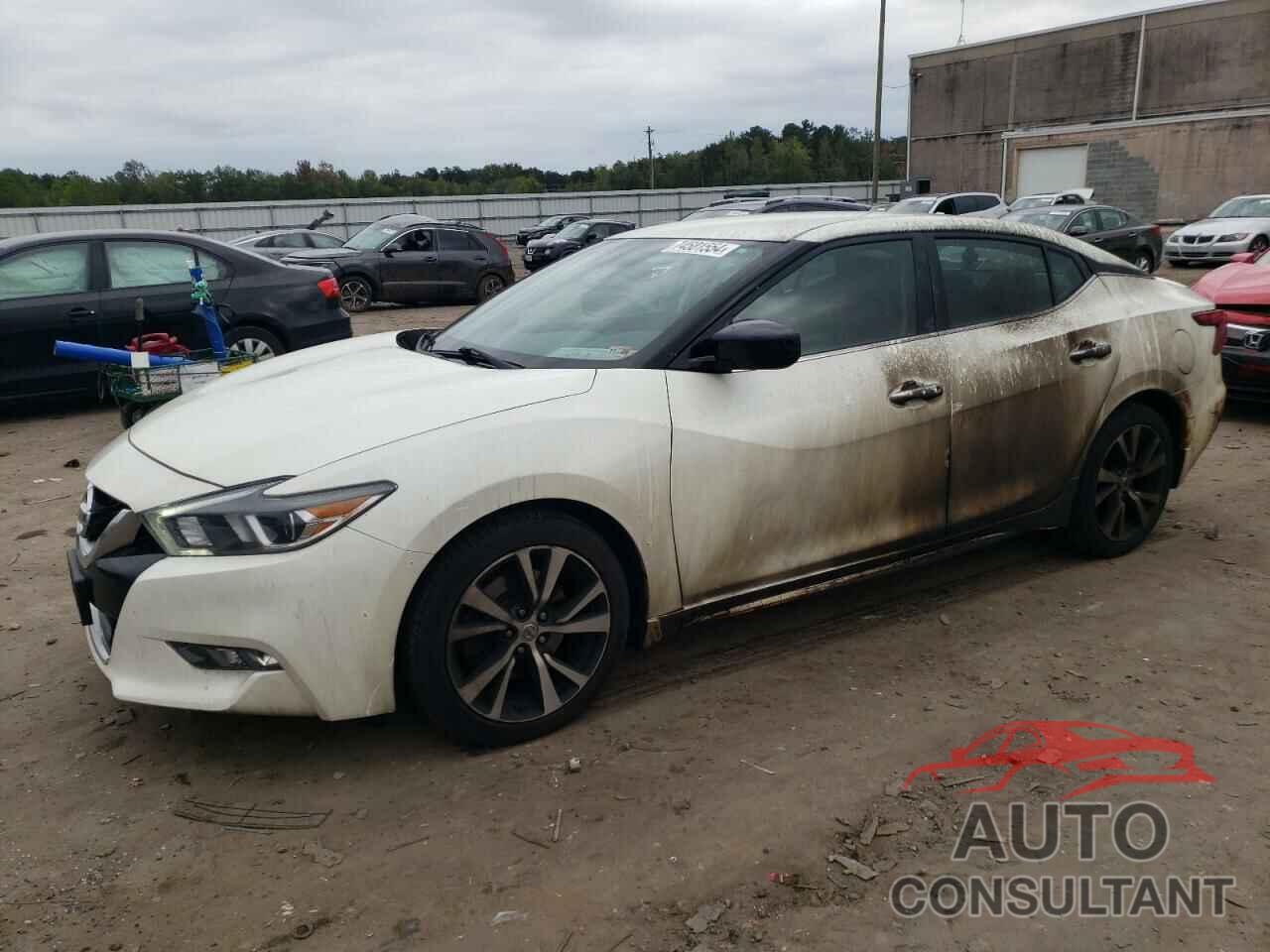 NISSAN MAXIMA 2017 - 1N4AA6AP4HC446961