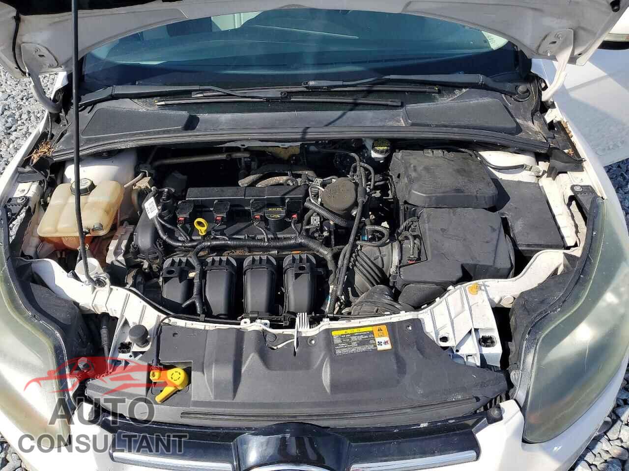 FORD FOCUS 2013 - 1FADP3N29DL176189