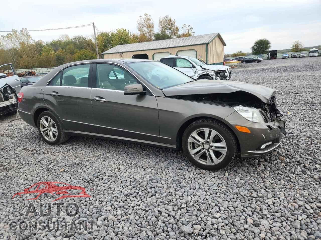 MERCEDES-BENZ E-CLASS 2010 - WDDHF8HB7AA229248