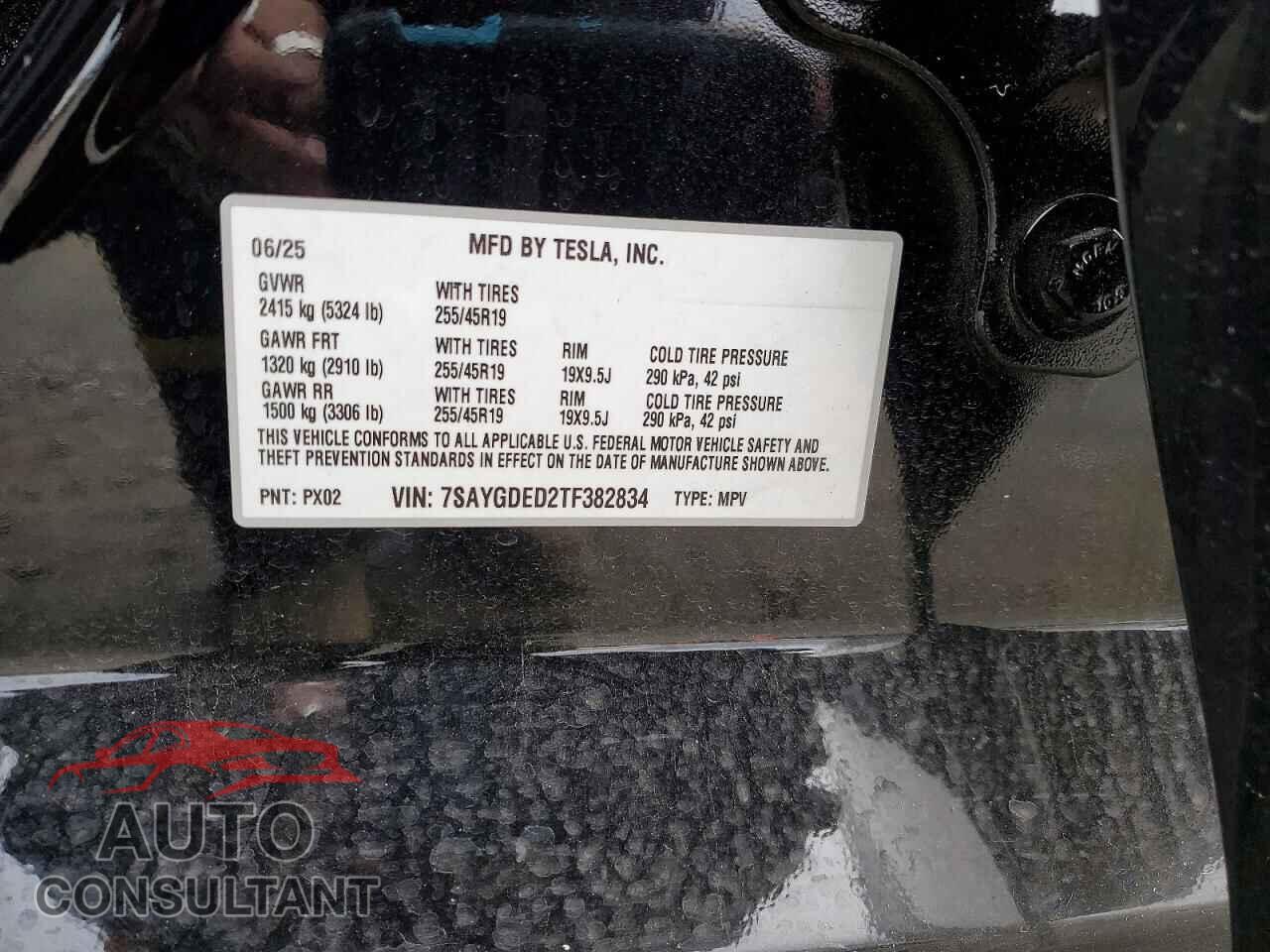 TESLA MODEL Y 2026 - 7SAYGDED2TF382834