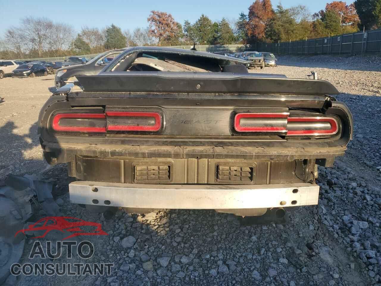DODGE CHALLENGER 2017 - 2C3CDZAG3HH513966