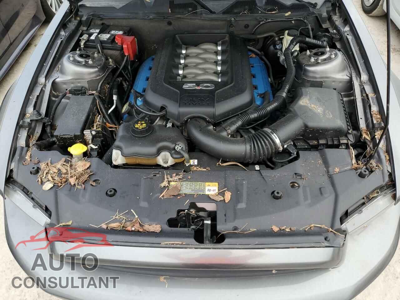 FORD MUSTANG 2014 - 1ZVBP8CF4E5249363