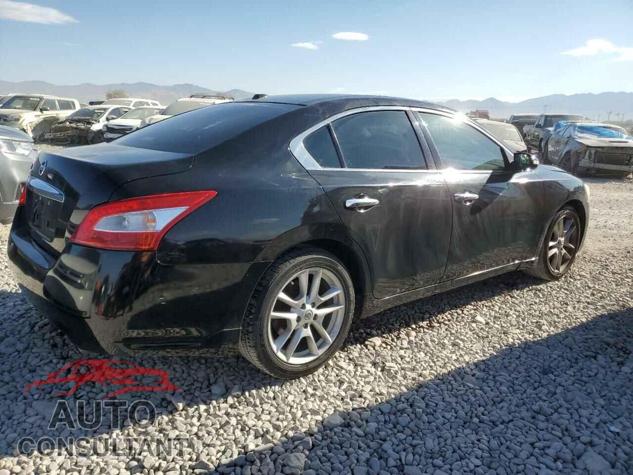 NISSAN MAXIMA 2009 - 1N4AA51E99C847352