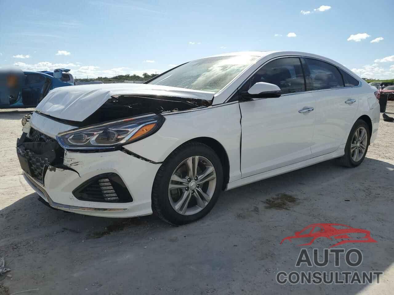 HYUNDAI SONATA 2019 - 5NPE34AF7KH752629