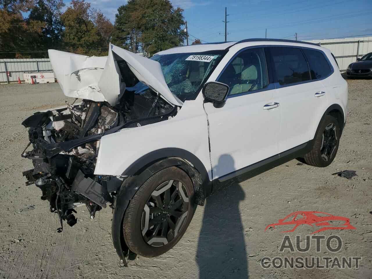 KIA TELLURIDE 2023 - 5XYP6DGC1PG405809